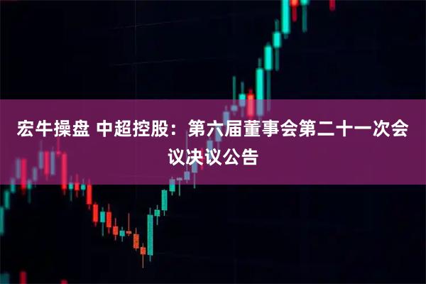 宏牛操盘 中超控股：第六届董事会第二十一次会议决议公告