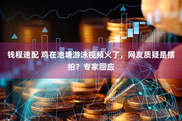 钱程速配 鸡在池塘游泳视频火了，网友质疑是摆拍？专家回应