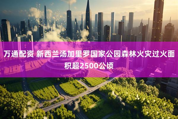 万通配资 新西兰汤加里罗国家公园森林火灾过火面积超2500公顷