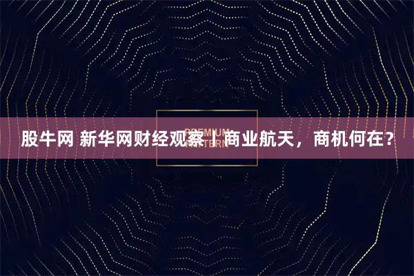 股牛网 新华网财经观察丨商业航天，商机何在？
