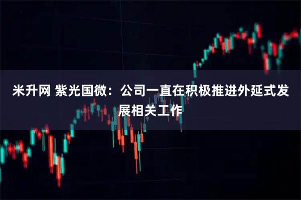 米升网 紫光国微：公司一直在积极推进外延式发展相关工作