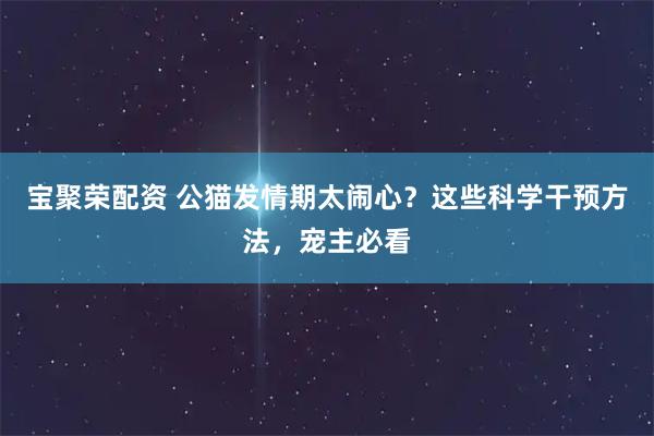 宝聚荣配资 公猫发情期太闹心?这些科学干预方法,宠主必看
